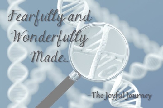 Fearfully and Wonderfully Made - The Joyful Journey